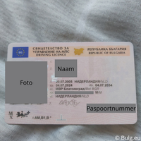 The modern Bulgarian driver’s licence