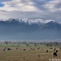 Pirin National Park Bansko